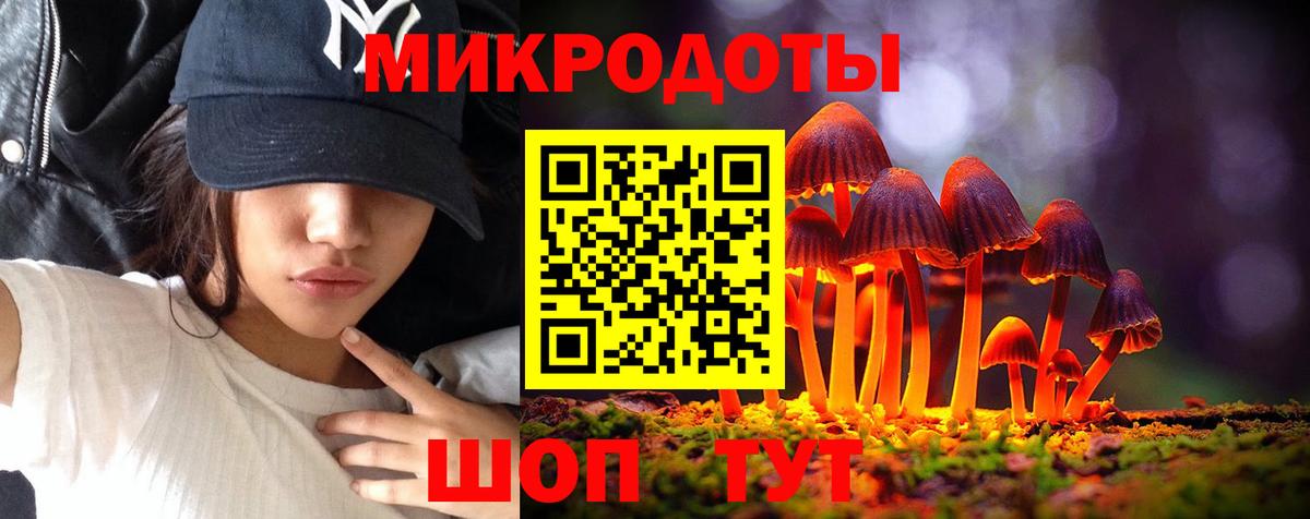 купить наркотик  Псилоцибиновые грибы мухоморы  Вход с VPN  Братск 